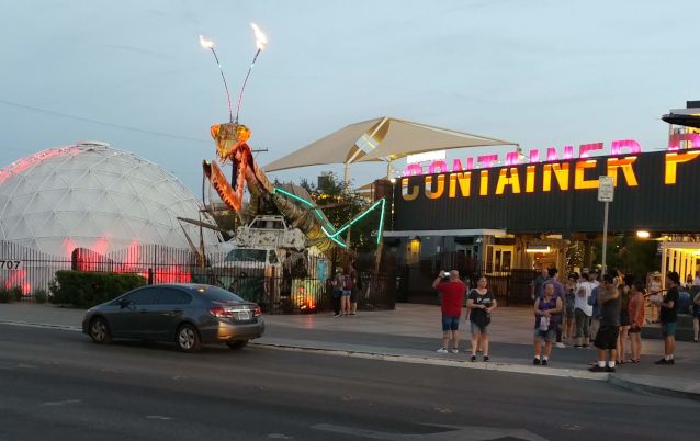 Freemont Street mantis